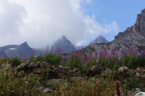 Travel - TMB mountains/flowers/clouds