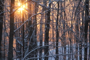 Photography - Winter Sunrise